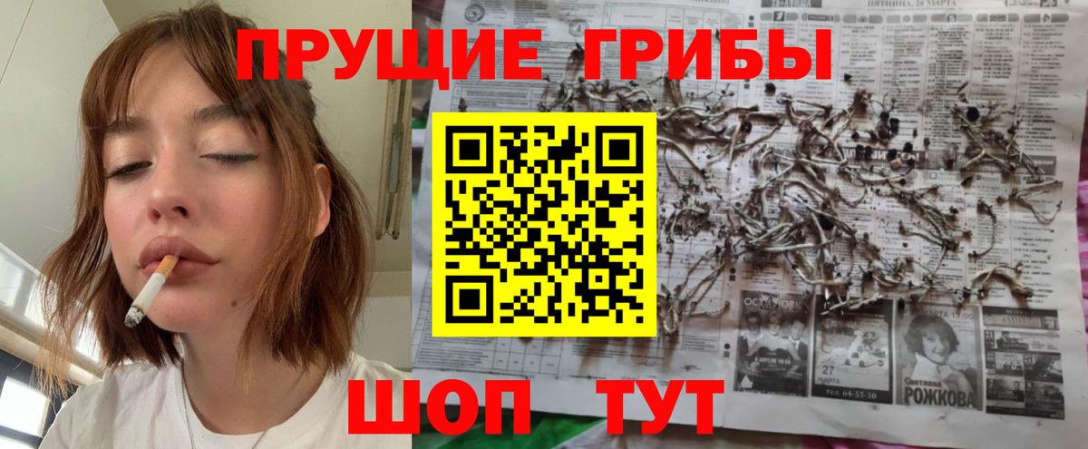 Пенза  Галлюциногенные грибы мицелий  Вход с VPN 