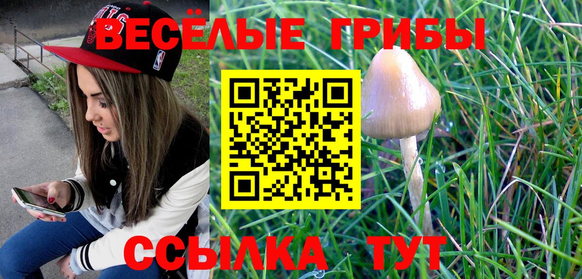 Галлюциногенные грибы ЛСД Пенза